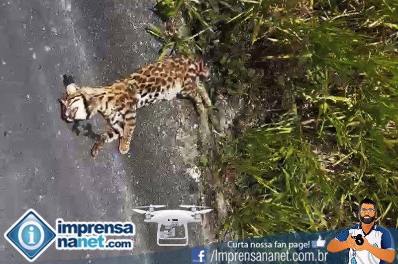 Foto: Internauta Via WhatsApp