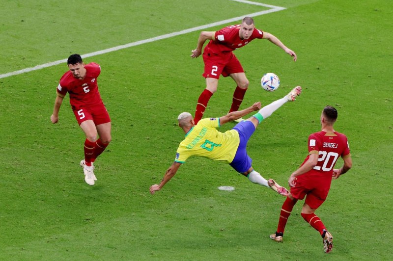 Foto: Molly Darlington