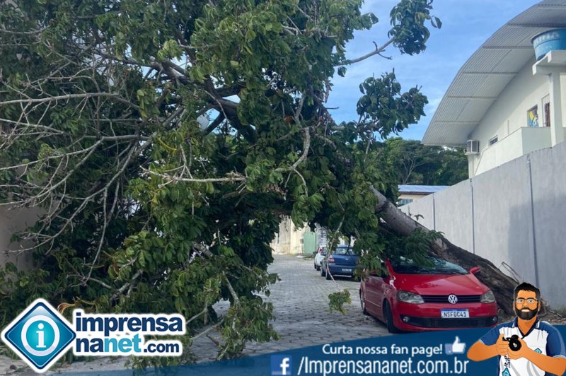 Foto: Internauta Via WhatsApp